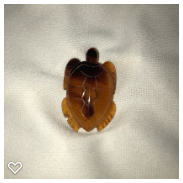 a079-20th Century Horn Button of a Realistic Turtle