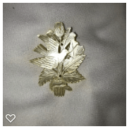 a124-20th Century Vintage Carved Pearl Button Scene of Bird and Plant Life