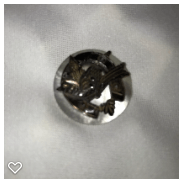 a126-19th Century Antique Carved Pearl Button of Bird and Horseshoe