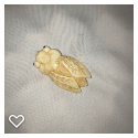 b057-Late 20th Century Carved Realistic Bone Button - Cicada Insect #1A