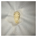 b088-Late 20th Century Carved  Bone Button - Realistic Owl