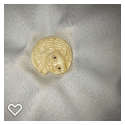 b099-Late 20th Century Carved Bone Button -  Realistic Cat #1